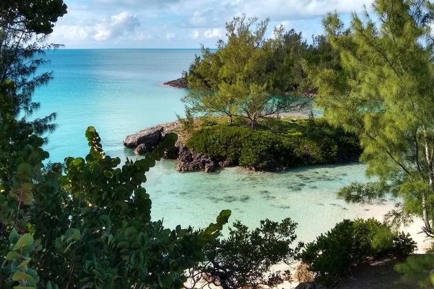 Bermuda photo