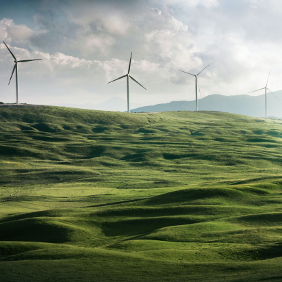 Découvrez les actions de Green Overseas
